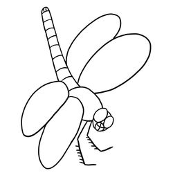 Libélula #5965