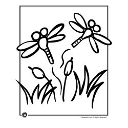 Libélula #5970