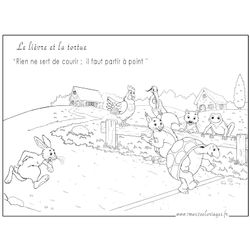 Liebre #6005