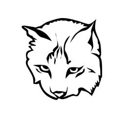 Lince #6064