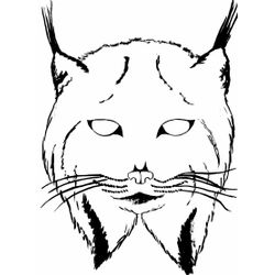 Lince #6076