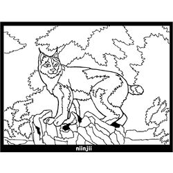 Lince #6081
