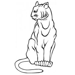 Lince #6095