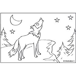 Lobo #6101