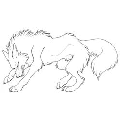 Lobo #6103