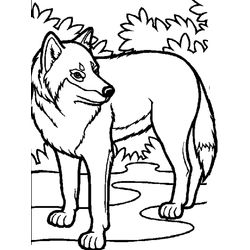 Lobo #6109