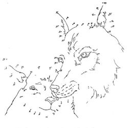 Lobo #6124