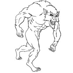 Lobo #6127