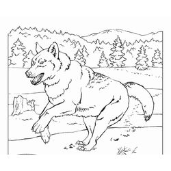 Lobo #6131