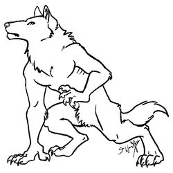 Lobo #6142