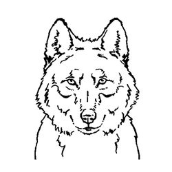 Lobo #6149