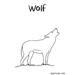 Lobo #6156