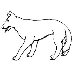 Lobo #6158