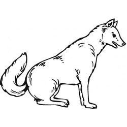 Lobo #6159