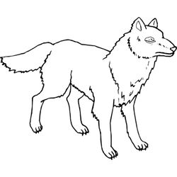 Lobo #6167