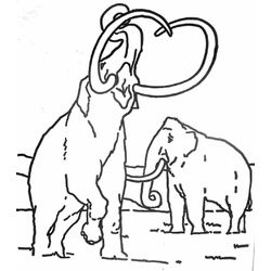 Mamut #6194