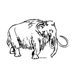 Mamut #6196
