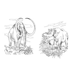 Mamut #6198