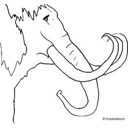 Mamut #6200