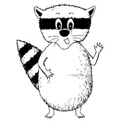 Mapache #6214