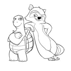 Mapache #6226