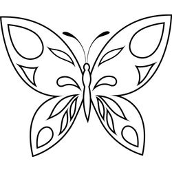 Mariposa #6237