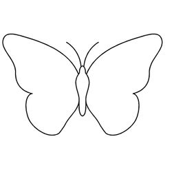 Mariposa #6239