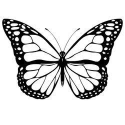 Mariposa #6241