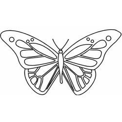 Mariposa #6242