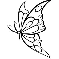 Mariposa #6243