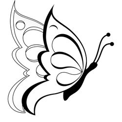 Mariposa #6246