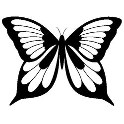 Mariposa #6249