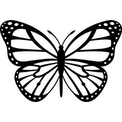 Mariposa #6251