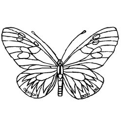 Mariposa #6253