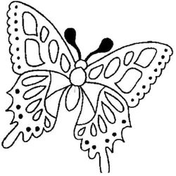 Mariposa #6254