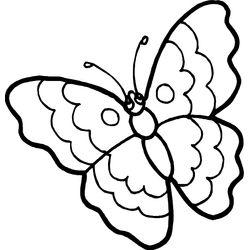 Mariposa #6255