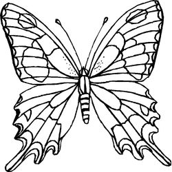 Mariposa #6257