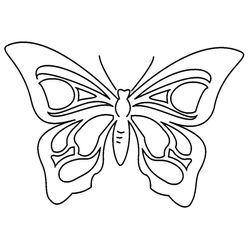 Mariposa #6259