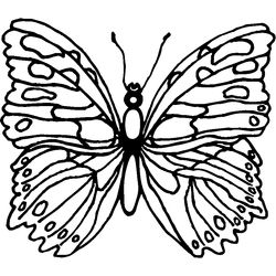 Mariposa #6268