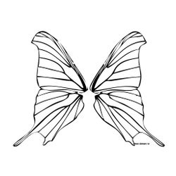 Mariposa #6269