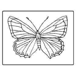 Mariposa #6274