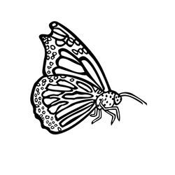 Mariposa #6275