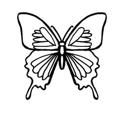 Mariposa #6276