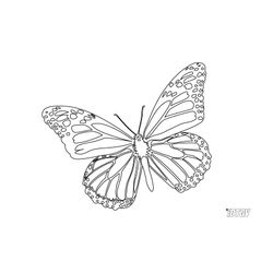 Mariposa #6277