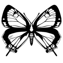 Mariposa #6278