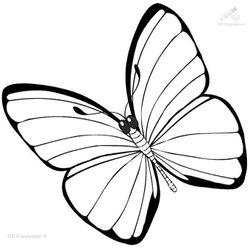 Mariposa #6280