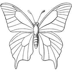 Mariposa #6282