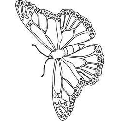 Mariposa #6283