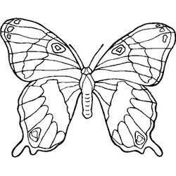Mariposa #6284