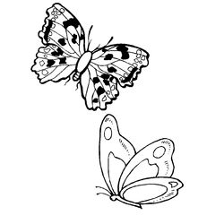 Mariposa #6292